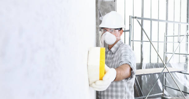 Why You Should Choose Our Mold Remediation Services in Glenwood, IL